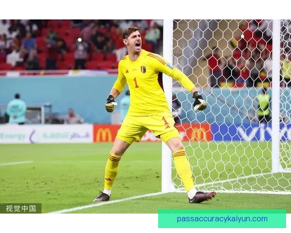 库尔图瓦世界杯表现回顾：发挥稳定，多次关键扑救助比利时稳健前行